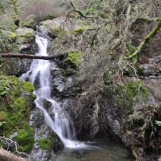 Cascade Trail photo
