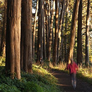 Ecology Trail to the Bay Area Ridge Trail photo