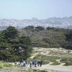 Fort Funston photo