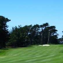 TPC Harding Park photo