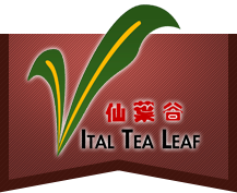 Vital Tea Leaf logo